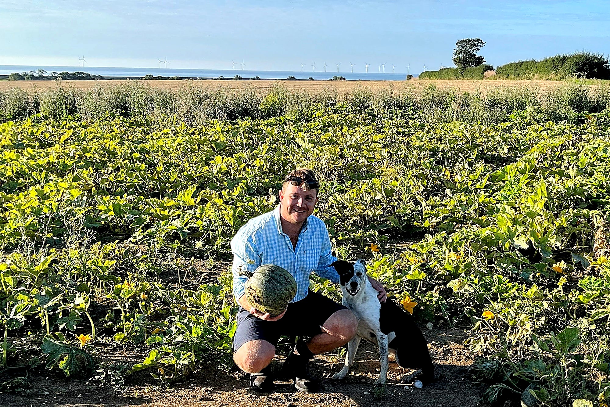 Sam, GroIT founder, in a vegetable field with his dog